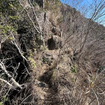 小鋸山までのルートがこんな感じ。
登山道では無いので
ローカルあるあるのトラロープ