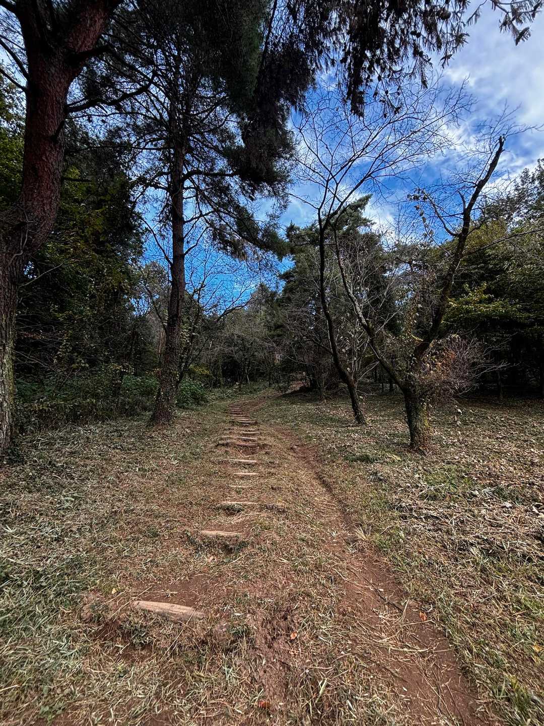 草刈り🌱ありがとうございます😭
とても、登りやすくなりました🙇‍♀️