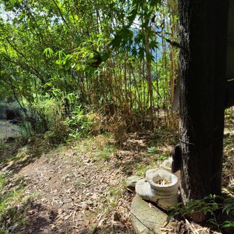 登山口　靴が見えたよ