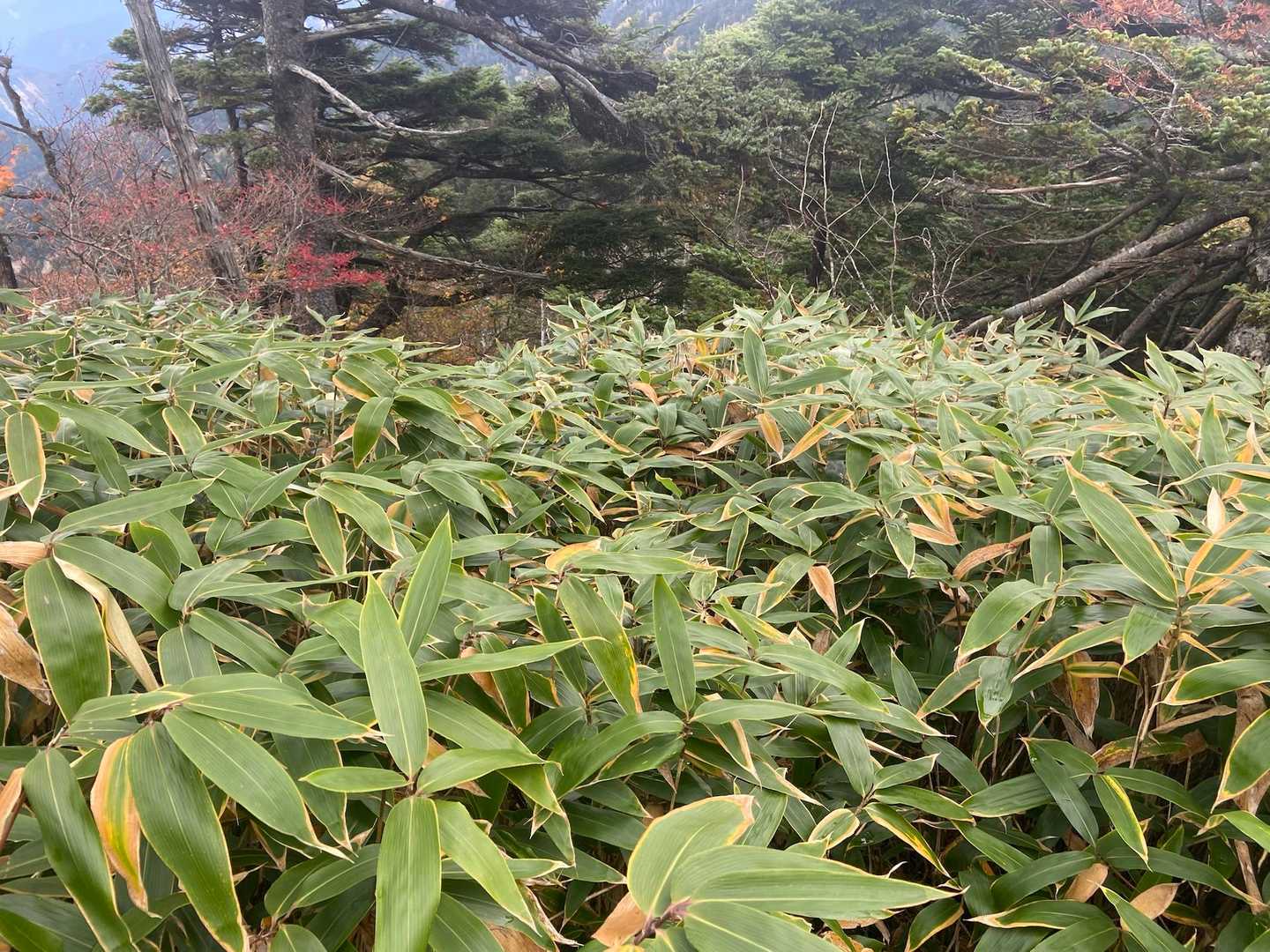 核心部へ突入〜