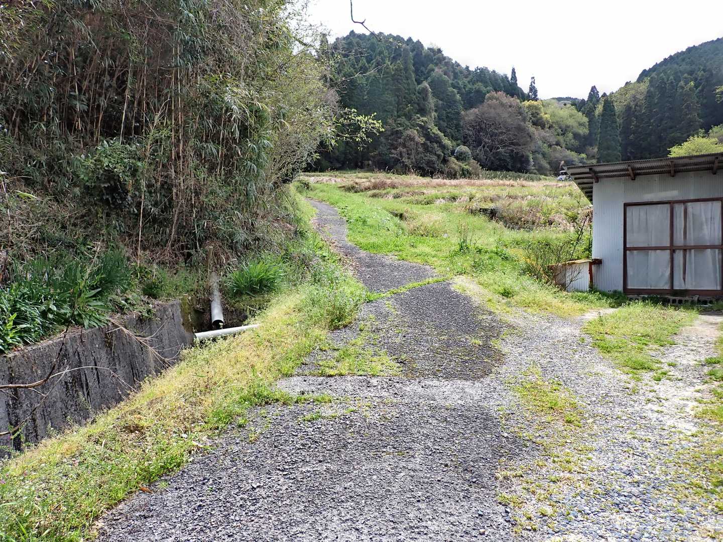細くなるけどまだ舗装が続きます。