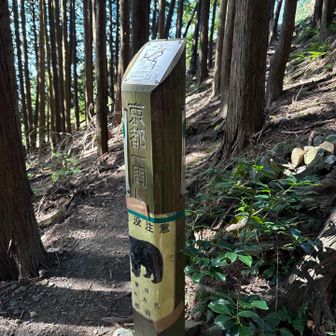 電波塔が見えて、ホッとしたのか、間違いに気づかないまま進んでしまった。
