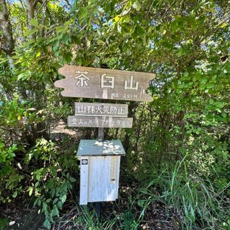 ここは前回と道順変えてみた