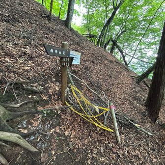 途中、七滝沢コースと合流