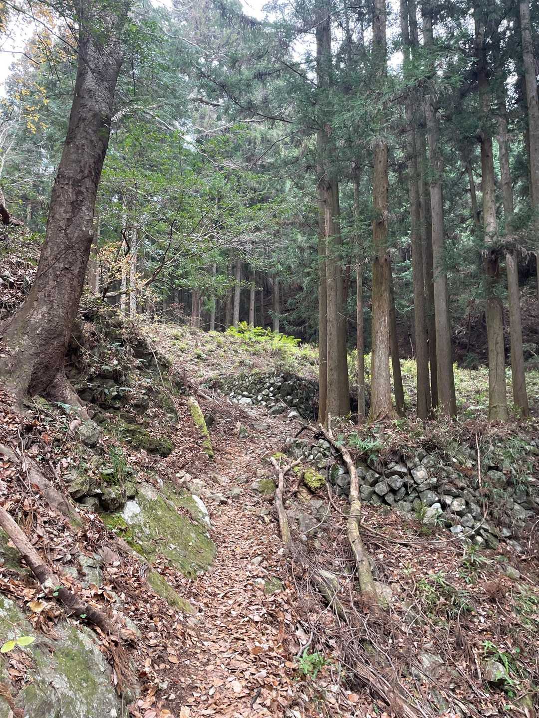 石垣があったんで、歴史ある所なんかなと🤔