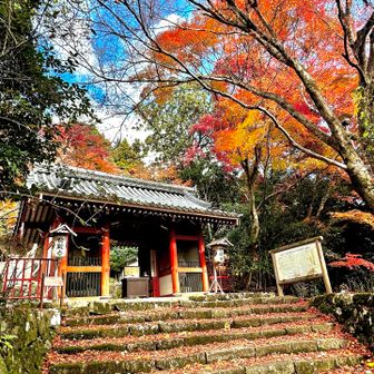 金蔵寺に到着！