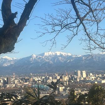 桜広場から薬師岳