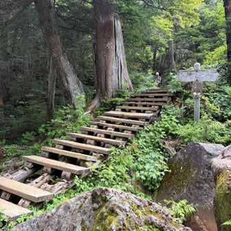 綺麗に見える階段でも、油断すると一段落抜けている
まるで落とし穴