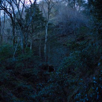 以前よりも踏み跡が明瞭になった印象。しかし、不明瞭なところもあり、ルートミスはとても危険。