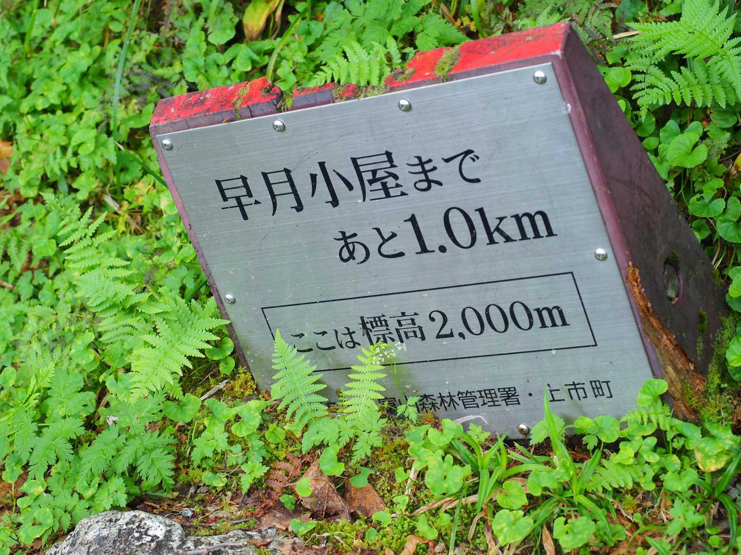 ラスボスまでまだ1,000mも上げないとあかんのかと知った6時37分。