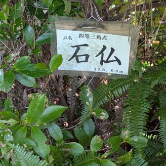 四等三角点