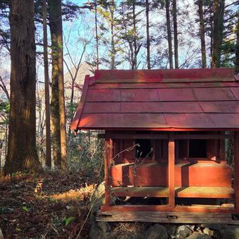 山頂⛩️
背後には七ッ森の他の山々⛰️