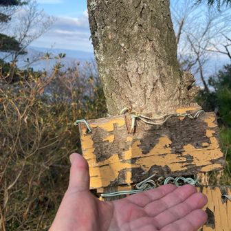 鉢ヶ峰山頂到着です😊
かなり汗だくです💦