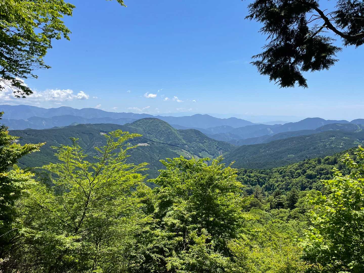 真富士山、竜爪山方面。