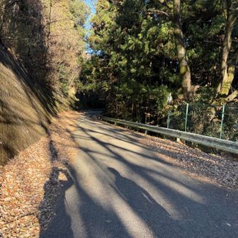 とにかく下山の落ち葉スライダーがダル過ぎて帰ることにしました。