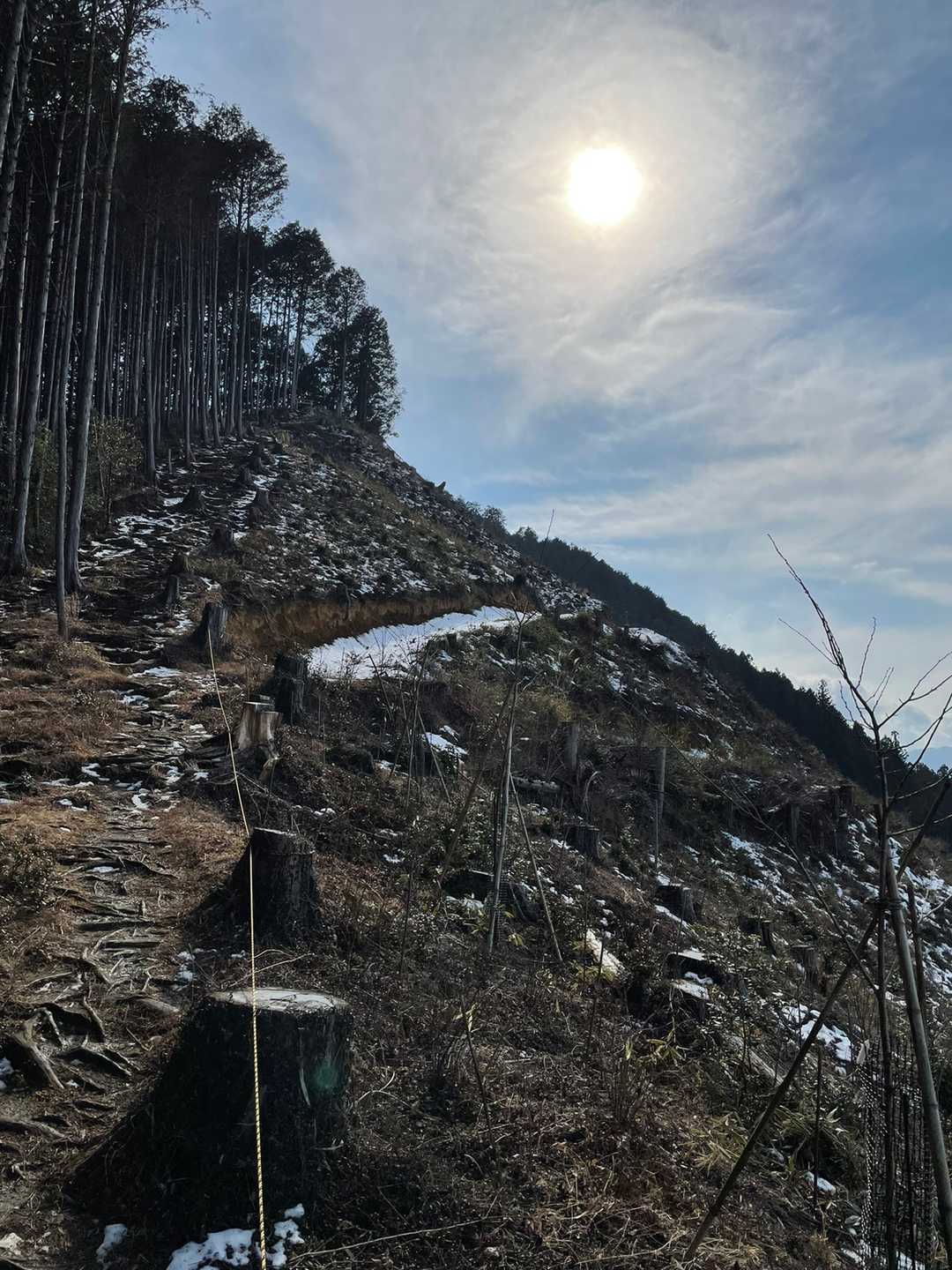 城山 登山口-城山 往復コースの写真