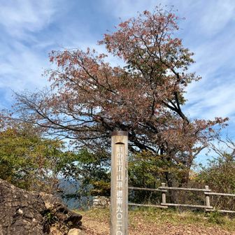 あっという間に日の出山山頂。
広い休憩ポイントでベンチが沢山あり、皆さんここでお昼ご飯です🍙