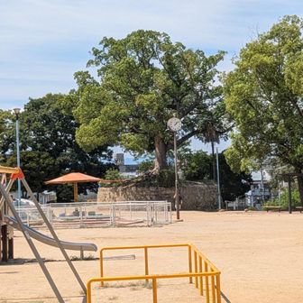 聖天山公園
大きなクスノキが生えた小山は、もともとは古墳の墳丘だったそうです。