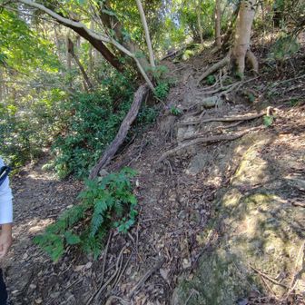 思わず左に行って間違い途中で崩落していて行けません
急な登り右へが正解