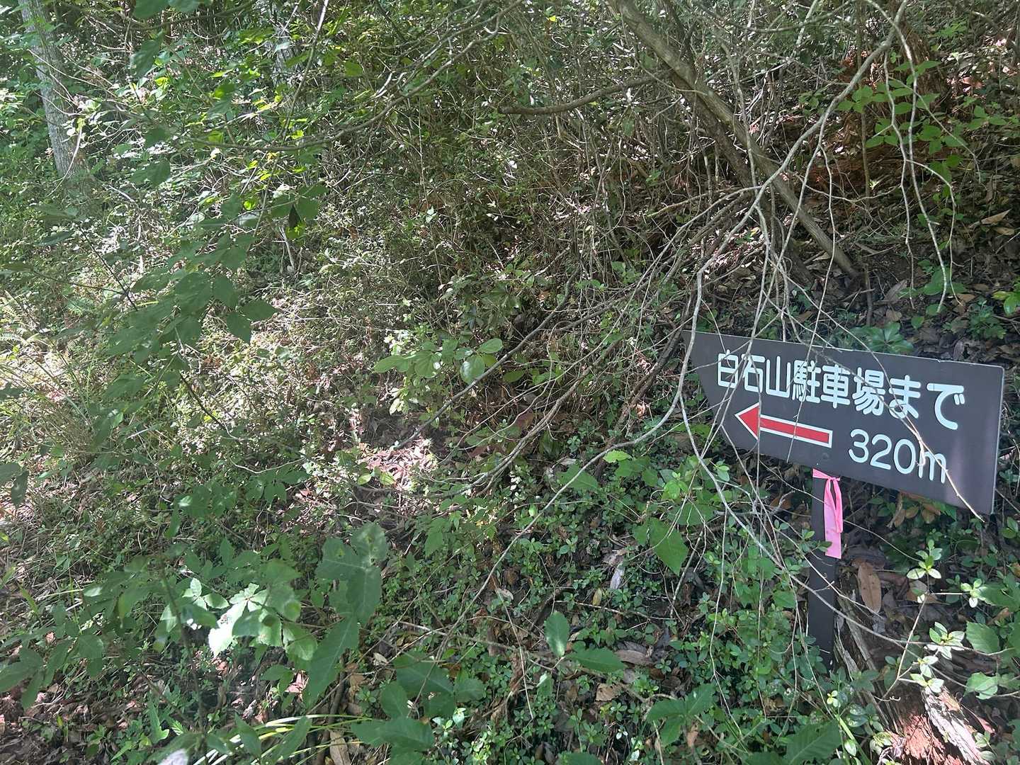 あと320mもあるのか･･･
