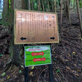 天気よく汗ばみ小袖を脱いで洗濯をして寛いでいたら突然夕方が来て小袖を置きわすれたと言う
