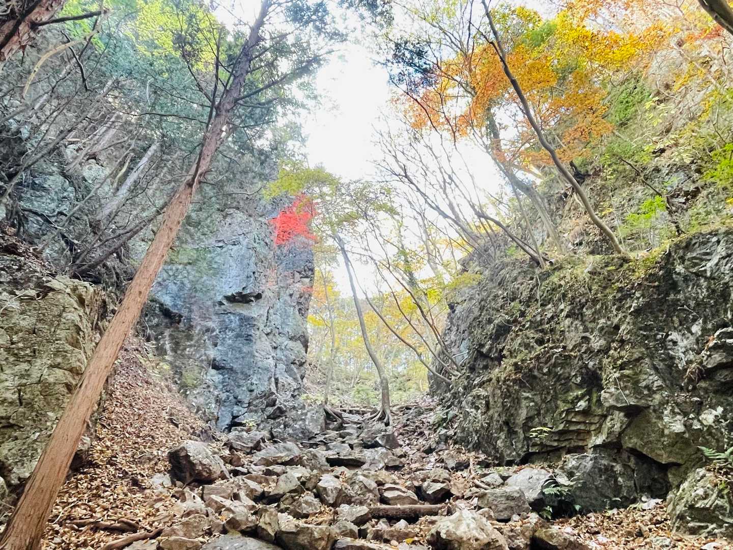 宇都宮市森林公園駐車場登山口-長倉山-手岡峠-斑根石山-富 周回コースの写真