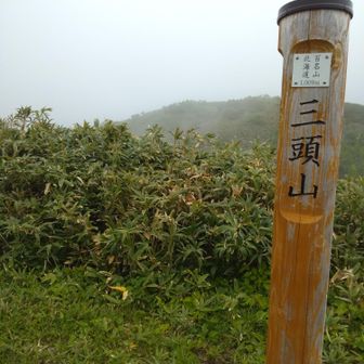 ついた～