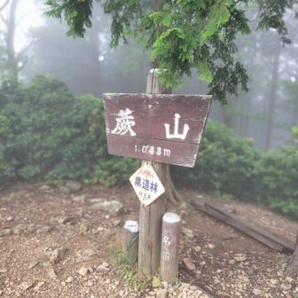小雨降る中、ここのベンチで小休止
YAMAPではこっちが山頂になっていますが、こちらは蕨山展望台みたいです
今回は何の展望もありませんでしたが…
