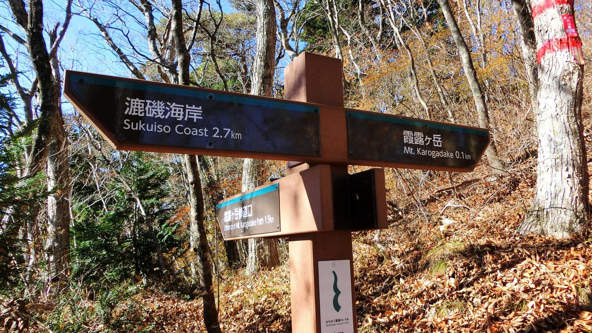 ニセピークに騙されてやっと山頂近くまで来たよ