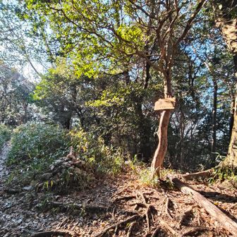 眺望はないです
でも眺望が欲しければ展望台がありますから😏