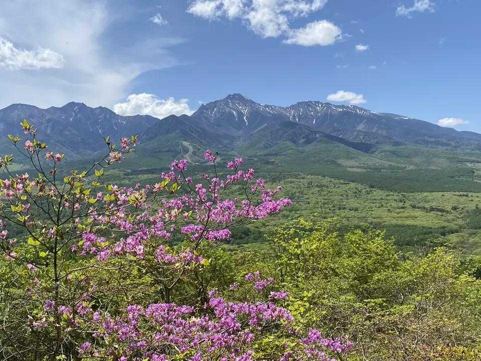 八ヶ岳や富士山を望む草原の山歩道 | 下山後の清里グルメをご褒美に の写真