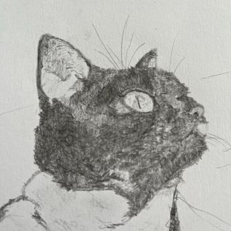 Dr. Strangelove🐈‍⬛