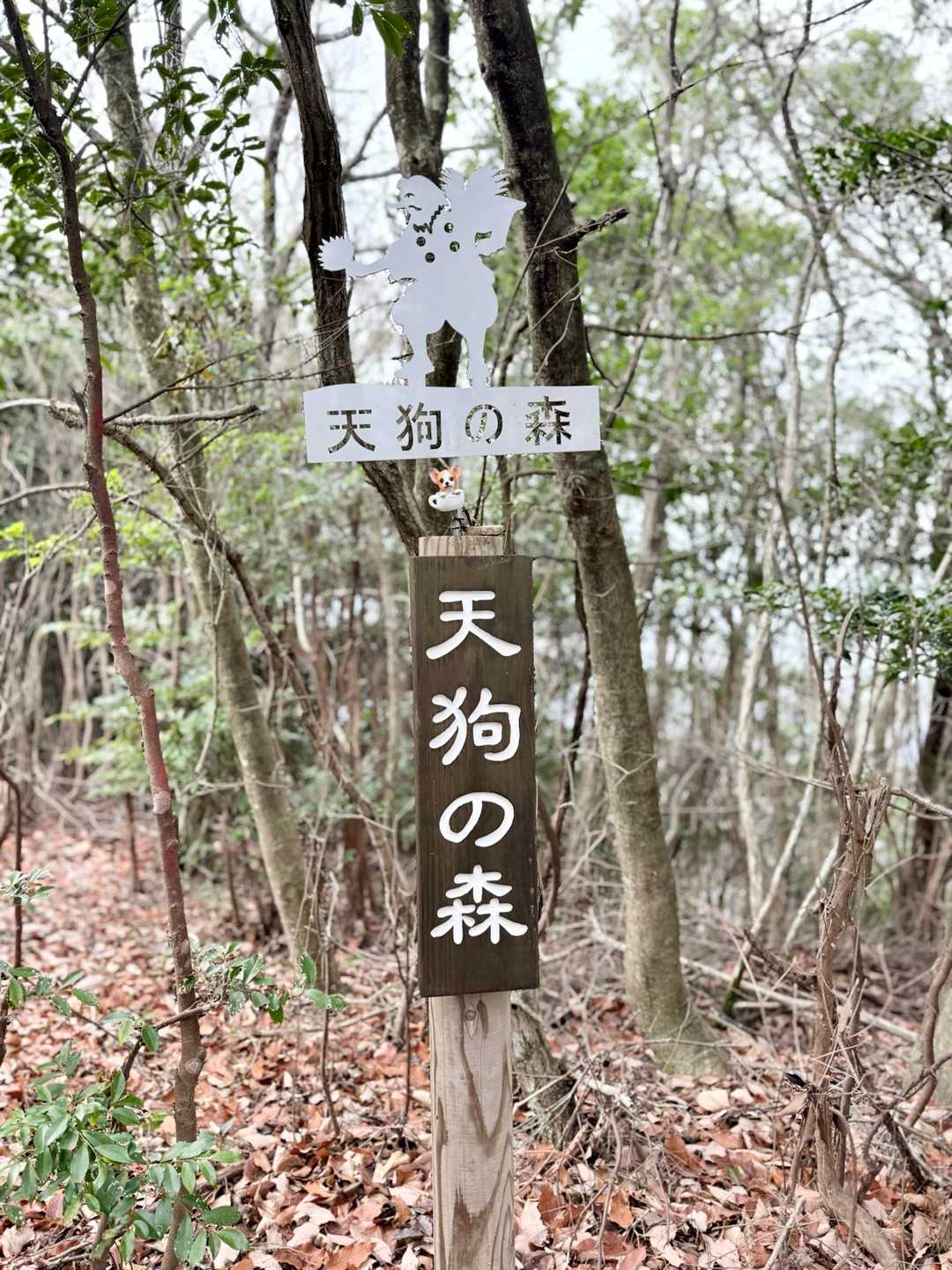 唐谷峠-金見山-大谷山 周回コースの写真