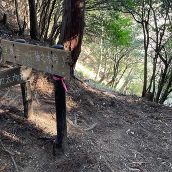 こっちから錫杖湖の方へ降りられるみたいだけど、あまりはっきりしない道だな〜