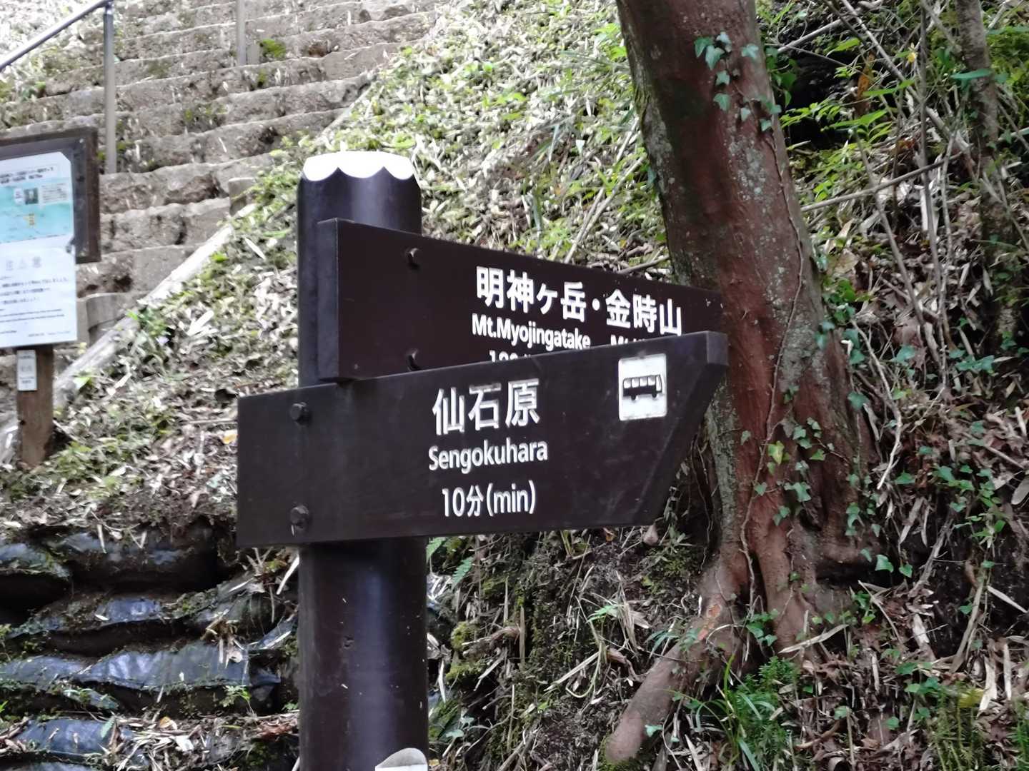 金時登山口バス停-金時山 往復コースの写真