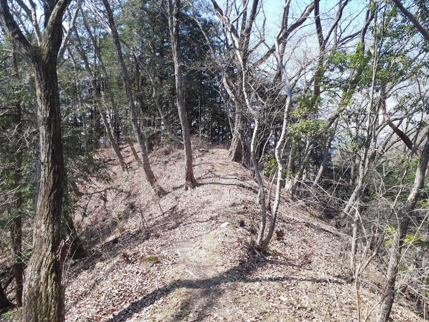男体山からは稜線歩き⛰️
