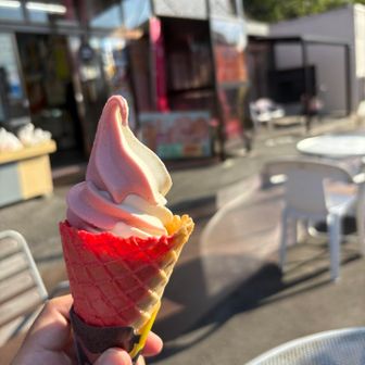 下山
ご褒美に道の駅で
紅白ソフトクリーム