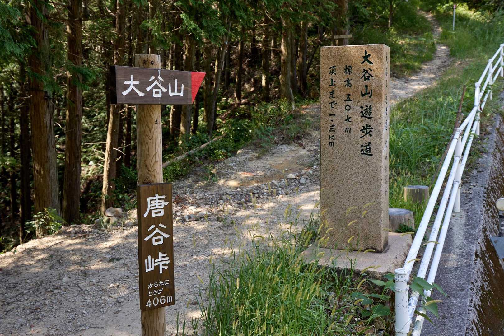 真新しい看板