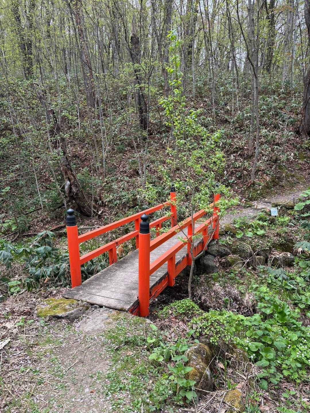 旭山 周回コースの写真
