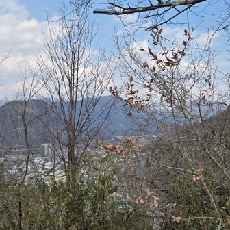 右に「菊花山」、左に「岩殿山」、その奥に「百蔵山」、その更に右奥に火災があった「扇山」