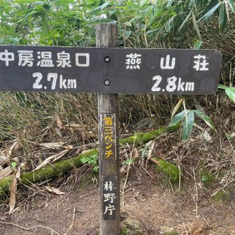 休憩に適した広場に多くのベンチ😮‍💨
時間的にも丁度良い間隔に設置されてて
登山者に優しい👍