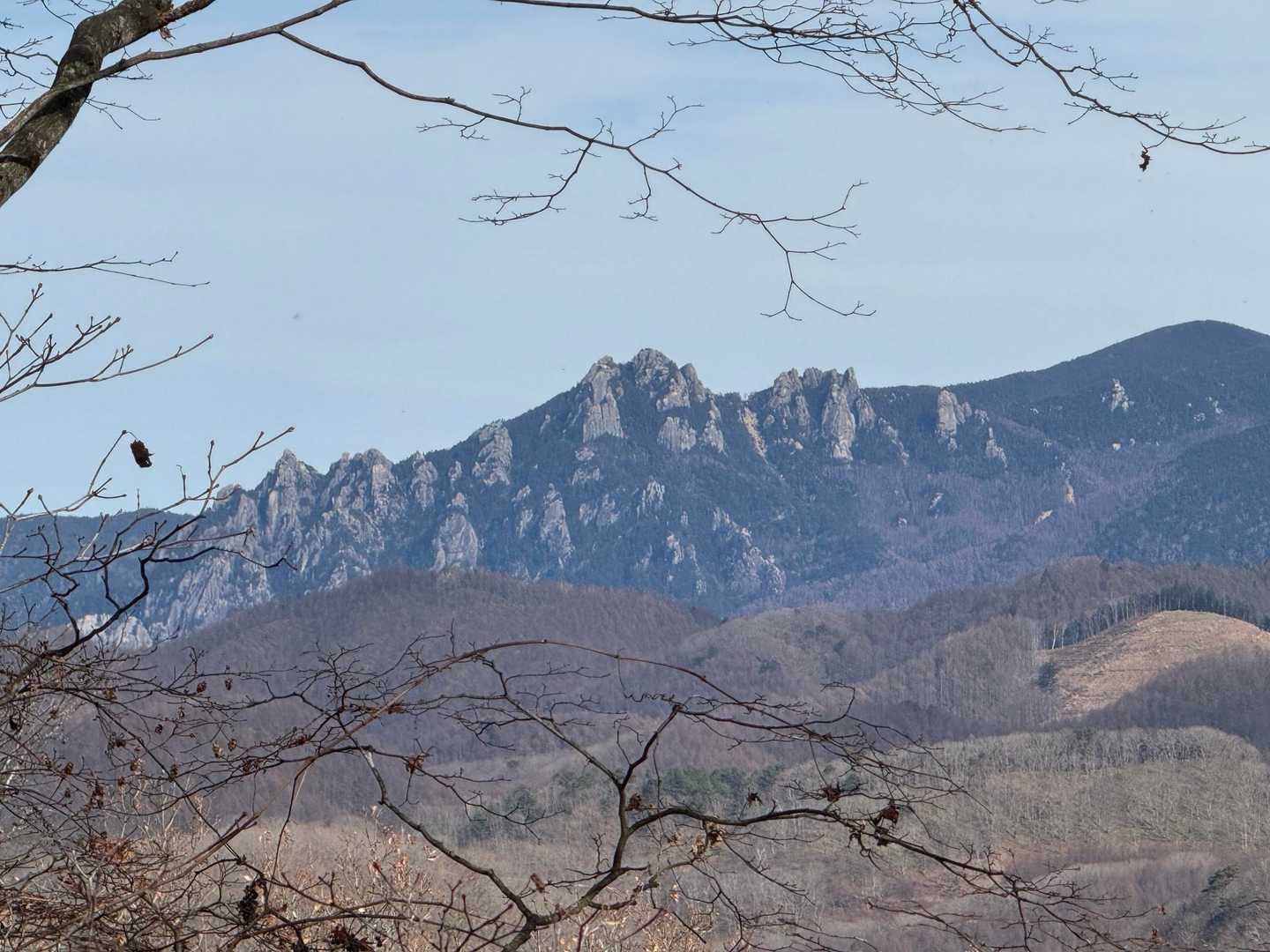 視線をずらすと、岩岩がカッコいい
日本百名山🇯🇵瑞牆山✨