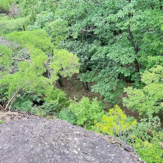 下を見たらこんな感じなので落ちたらヤバいかと

昨年とある山で同じようなザラついた岩をギリギリまで寄ったら突然靴がグリップ失い3〜4m落ちました😅あっという間の出来事でした🙂‍↔️

想像力が足りず痛みで学習するおっさん🙄