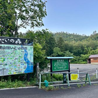 一年ぶりの新潟県にやって来ました🚜
以前より気になってた五頭連峰の22座を縦走します🐾
五頭山は🌸花の百名山でもあります💐