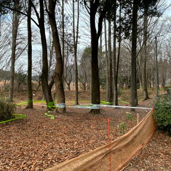 駐車場にマウンテンバイクコース隣接！自転車持ってくるんだったなあ