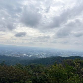 展望台からの景色✨