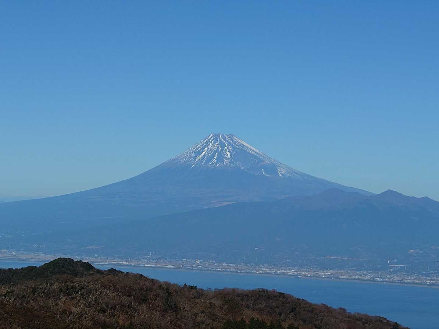 だるま山高原-金冠山-達磨山 往復コースの写真
