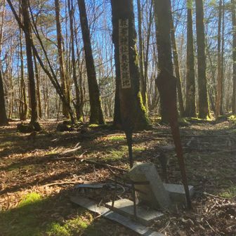 登りでは気づかなかった麻布神社奥宮跡地。参拝はさぞかし大変だったと思います👏