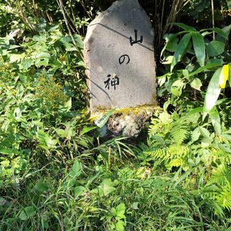 山の神にご挨拶。今日もありがとうございました。