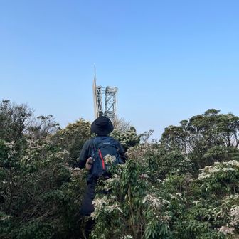 あっち行ってみよ☝️